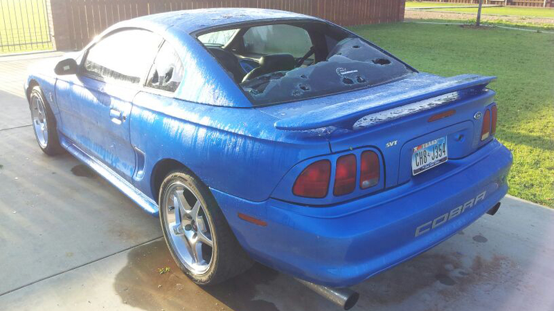 Illustration for article titled Hail Mustang Cobra Gallery